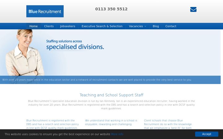 Screenshot of blue-recruitment.com