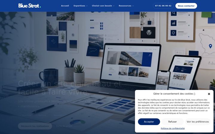 Screenshot of blue-strat.com