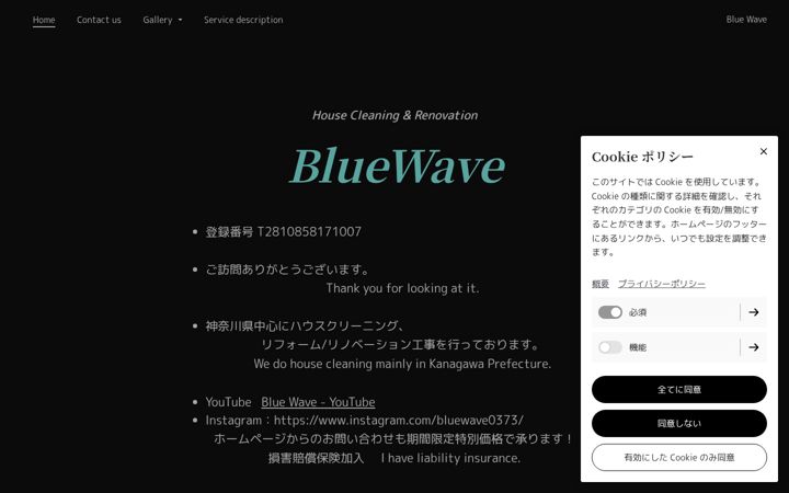 Screenshot of blue-wave.info