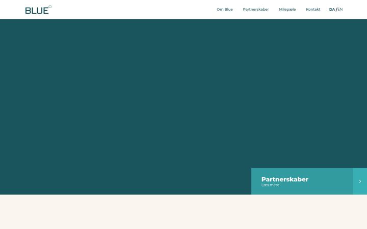 Screenshot of blue.dk