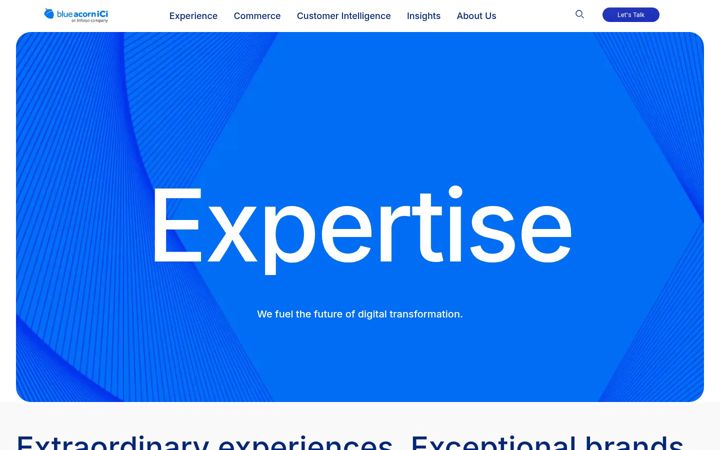 Screenshot of blueacornici.com