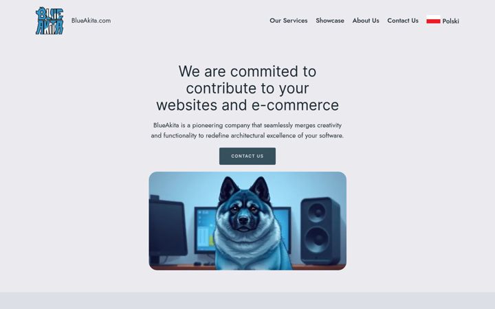 Screenshot di blueakita.com