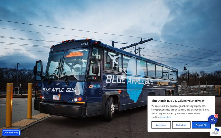 Screenshot of blueapplebus.com