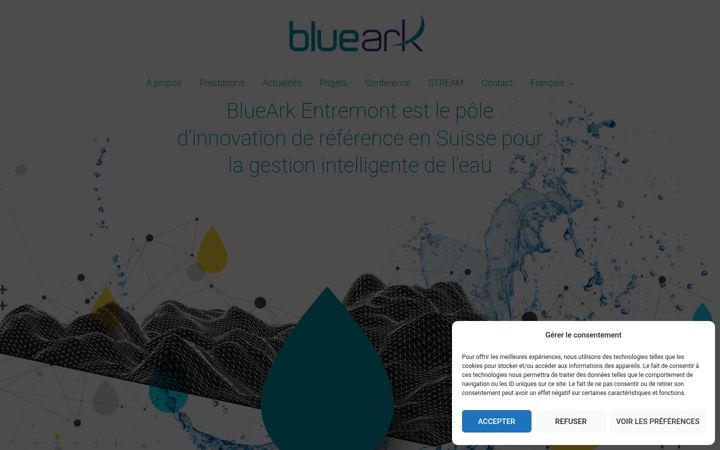 Screenshot of blueark.ch