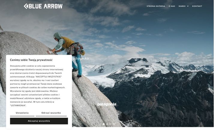 Screenshot of bluearrow.pl