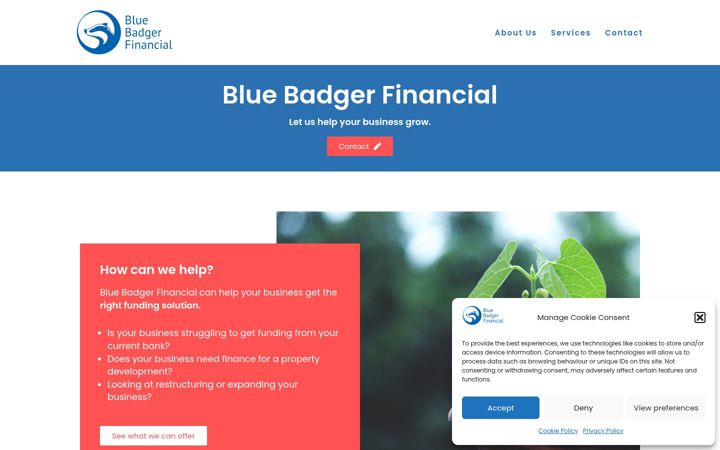 Screenshot of bluebadgerfinancial.com