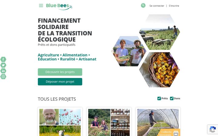 Screenshot of bluebees.fr