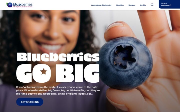 Screenshot of blueberry.org
