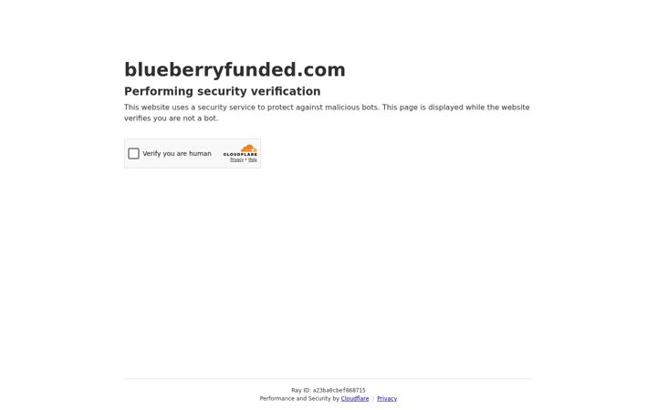 Captură de ecran a blueberryfunded.com