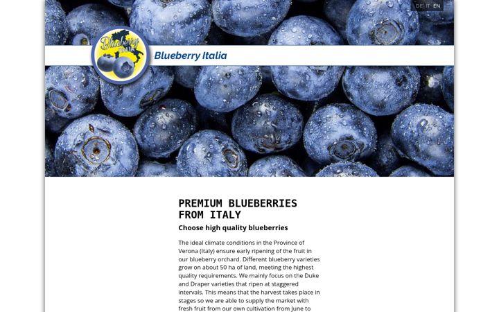 Screenshot of blueberryitalia.it