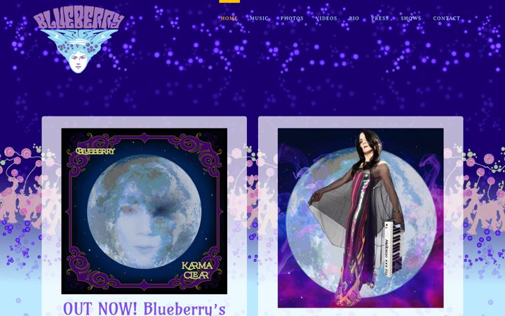 Zrzut ekranu blueberrylounge.com