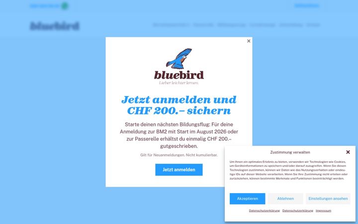 Screenshot of bluebird.ch
