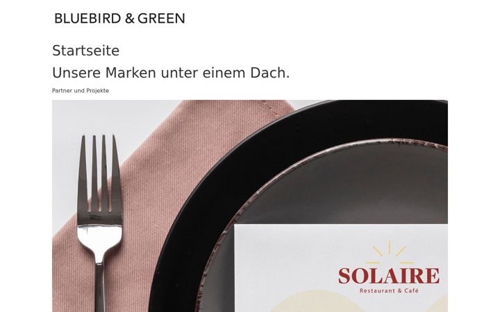 Zrzut ekranu bluebirdandgreen.com