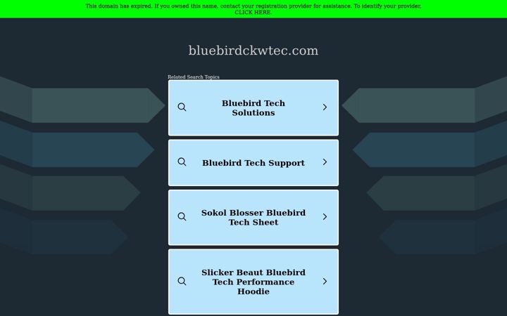 Zrzut ekranu bluebirdckwtec.com