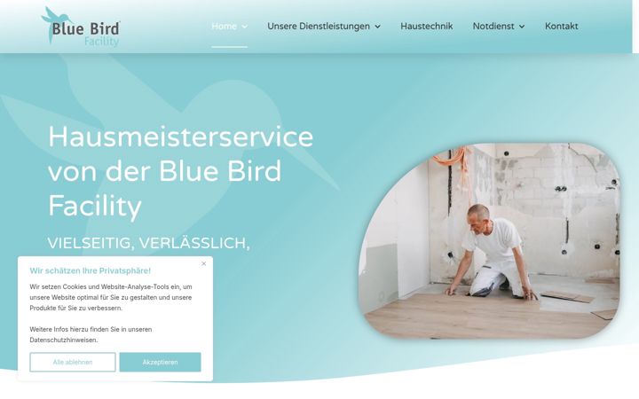 Zrzut ekranu bluebirdfacility.com