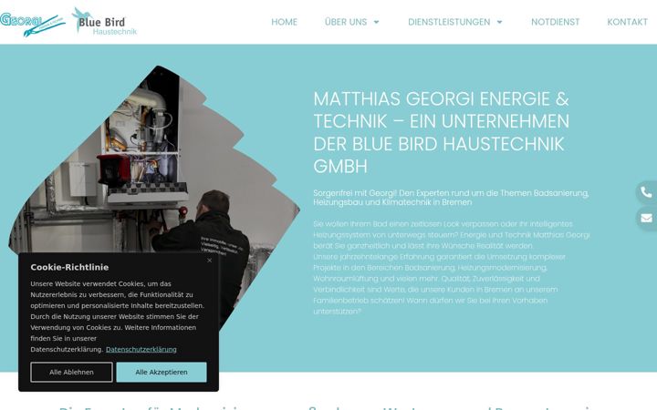 Screenshot of bluebirdhaustechnik.de