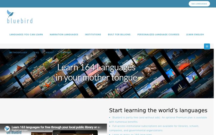 Zrzut ekranu bluebirdlanguages.com