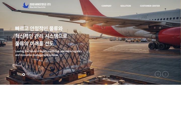 Screenshot of bluebirdseanair.com