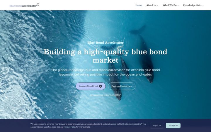 Screenshot of bluebondaccelerator.org
