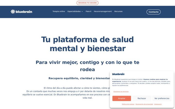 Screenshot of bluebrain.es