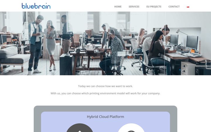 Screenshot of bluebrain.pl