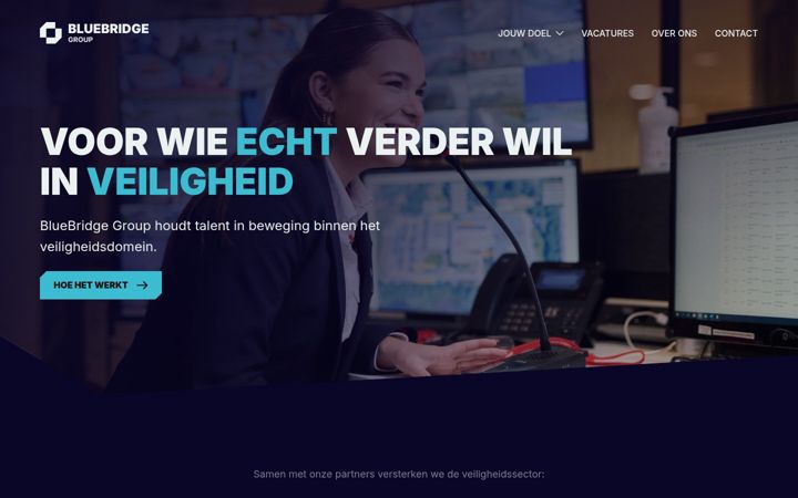 Screenshot of bluebridgegroup.nl