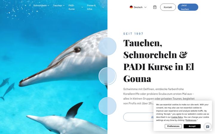 Screenshot of bluebrothersdiving.de