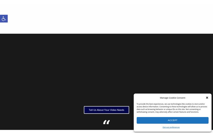 Screenshot of bluecheetahmedia.com