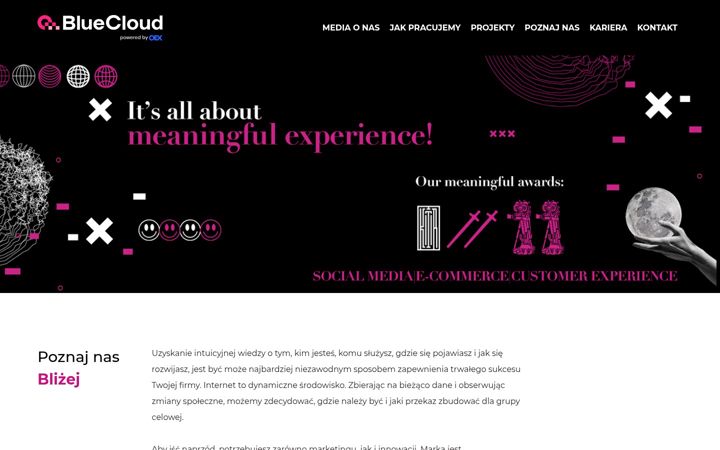 Screenshot of bluecloud.agency