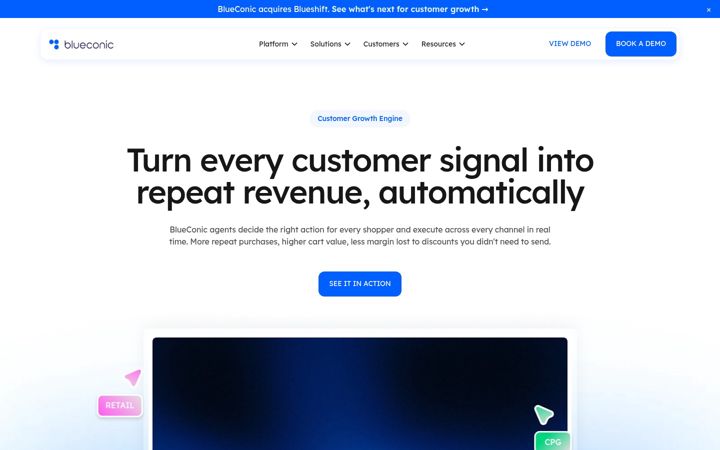 Screenshot of blueconic.com