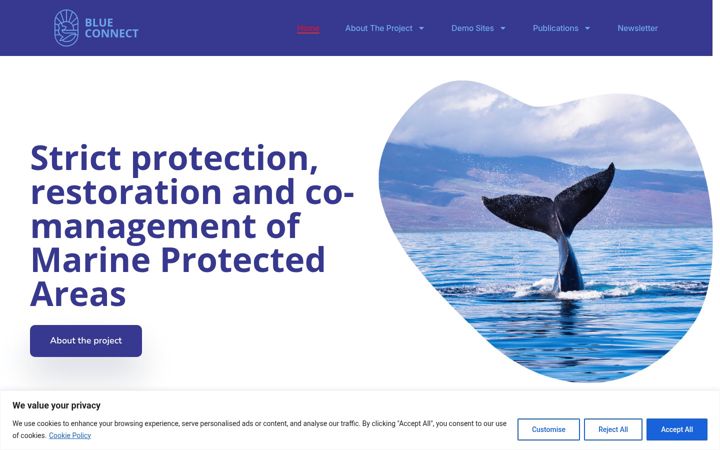 Skærmbillede af blueconnect-project.eu