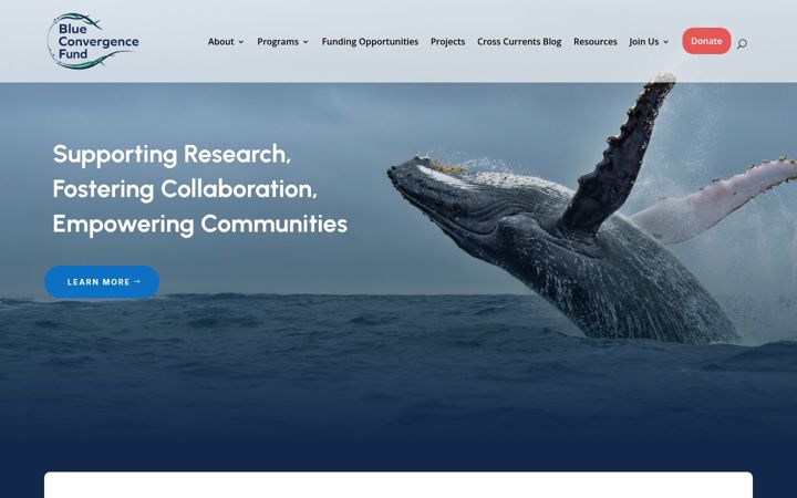 Skærmbillede af blueconvergence.org