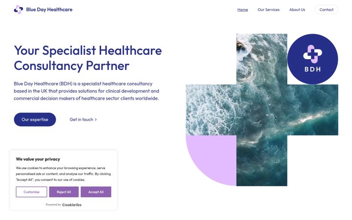 Screenshot of bluedayhealthcare.com
