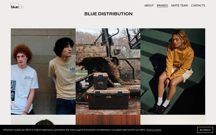 Screenshot of bluedistribution.com