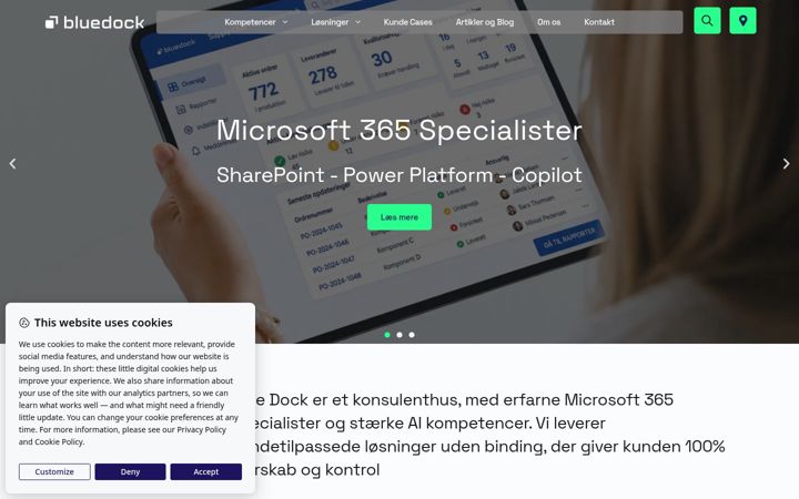 Screenshot of bluedock.dk