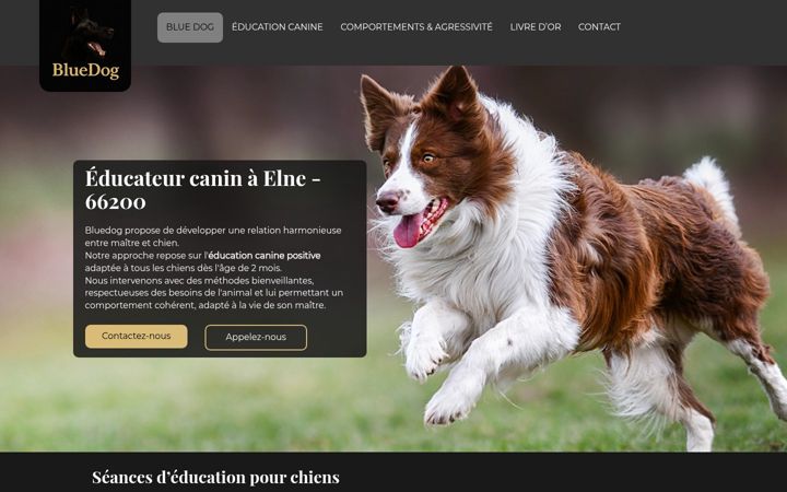 Screenshot of bluedog66.fr