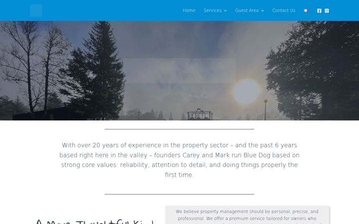 Screenshot ta' bluedog74.com