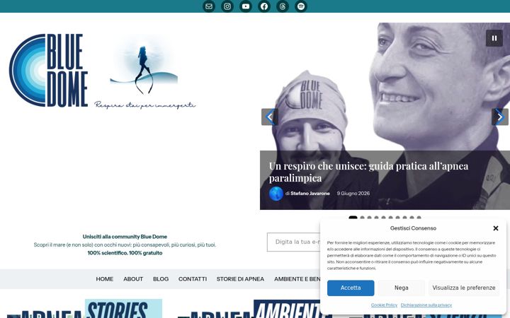 Screenshot of bluedome.one