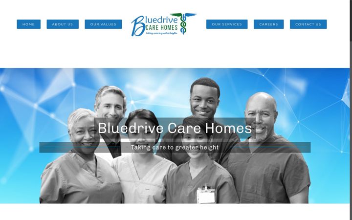 Screenshot of bluedrivecare.uk