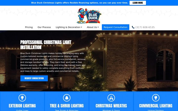Screenshot of blueduckchristmaslights.com