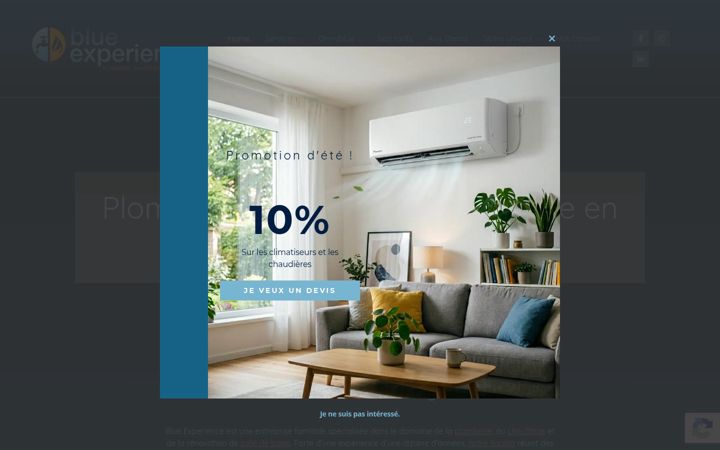 Screenshot of blueexperience.be