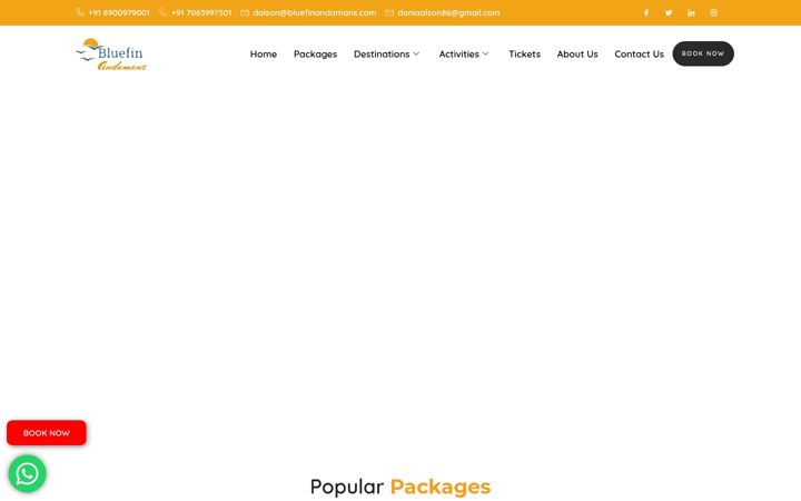 Screenshot of bluefinandamans.com