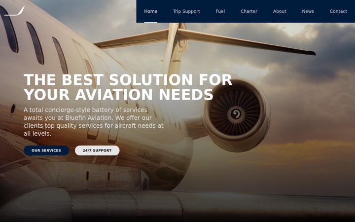 Screenshot of bluefinaviation.com