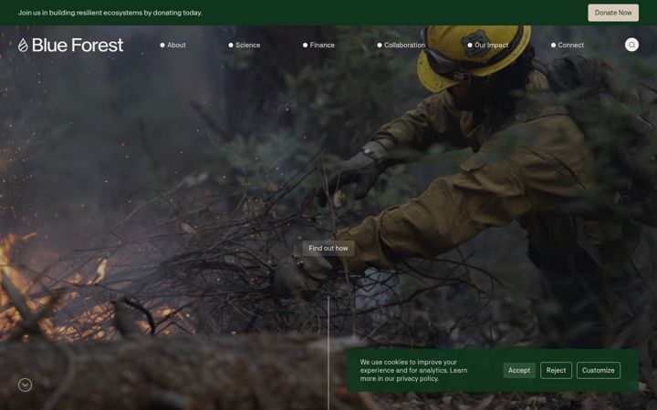 Screenshot of blueforest.org