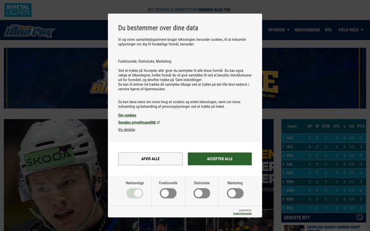 Screenshot of bluefox.dk