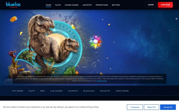 Screenshot of bluefoxcasino.com