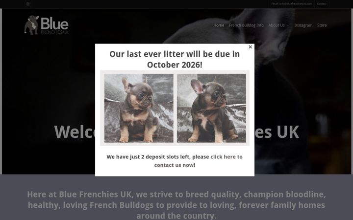 Screenshot of bluefrenchiesuk.com