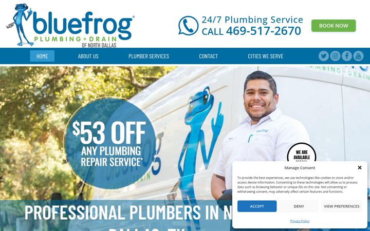 Screenshot of bluefrogplumbingnorthdallas.com