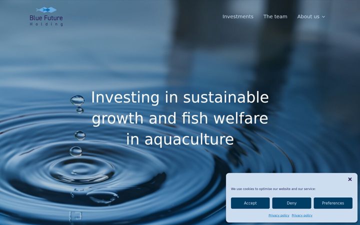 Screenshot of bluefutureholding.com