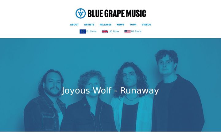 Screenshot of bluegraperecords.org